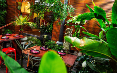 Tuk Tuk Trivia | 7th March 2021 | 2PM – 4.30PM